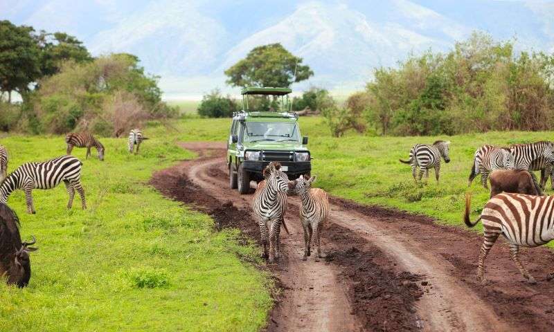 Zanzibar Jeep Tour photo 2