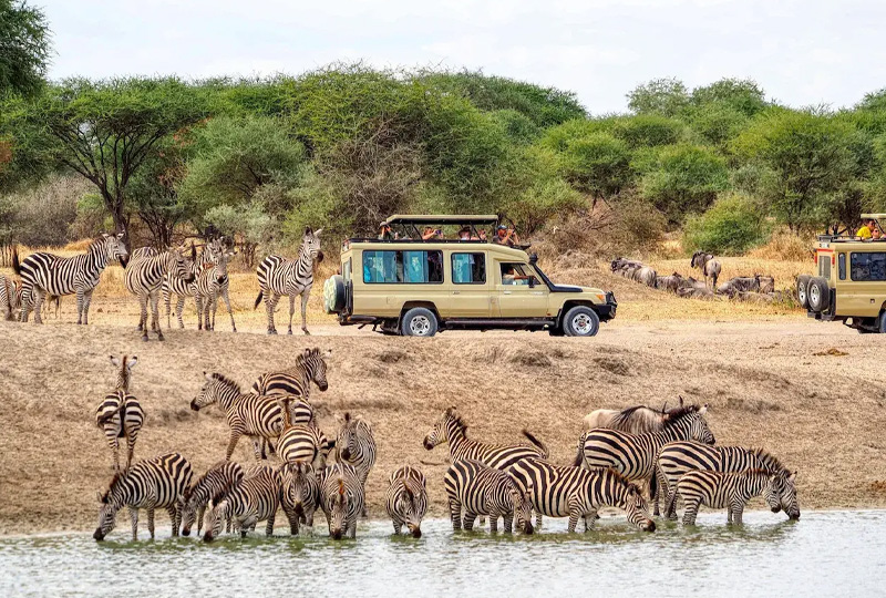 Zanzibar Jeep Tour photo 7