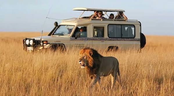 Zanzibar Jeep Tour photo 9