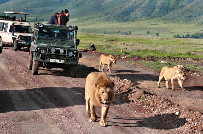 Zanzibar Jeep Tour photo 3