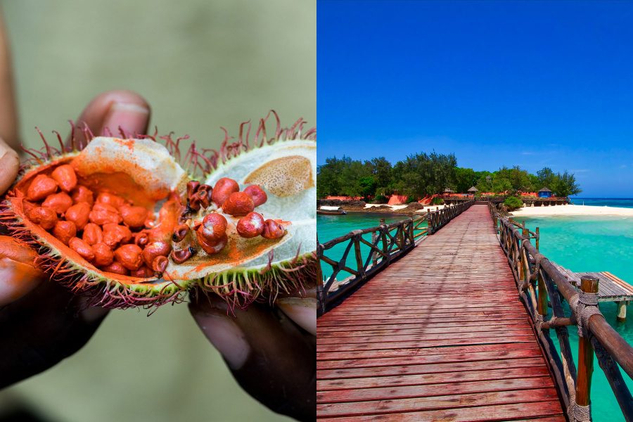 Spice Tour + Prison Island photo 9