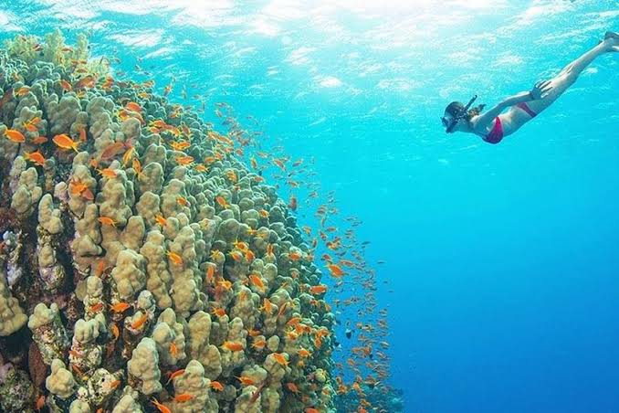 Blue Lagoon Snorkeling Tour photo 3