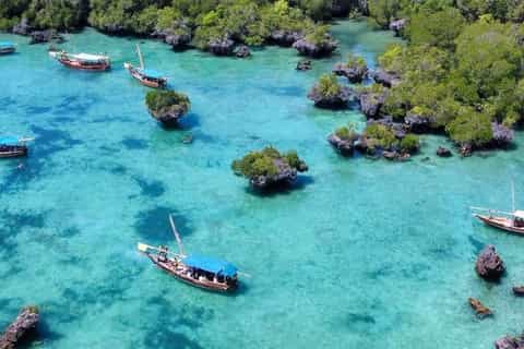 Blue Lagoon Snorkeling Tour photo 6