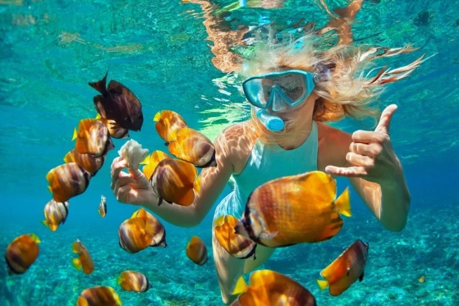 Blue Lagoon Snorkeling Tour photo 2