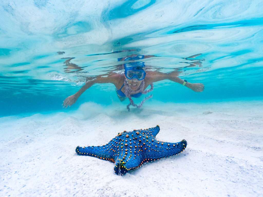 Blue Lagoon Snorkeling Tour photo 5