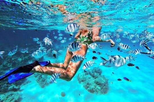 Blue Lagoon Snorkeling Tour photo 10