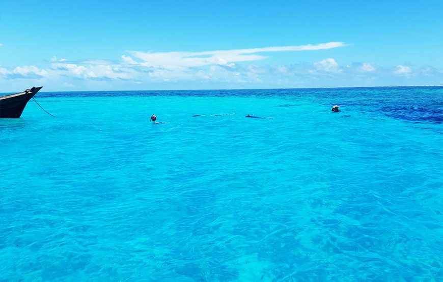 Tumbatu Island Snorkeling Tour photo 5