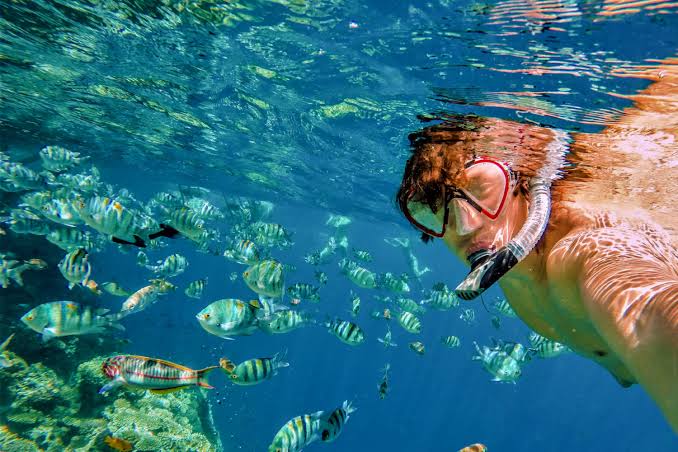 Tumbatu Island Snorkeling Tour photo 10