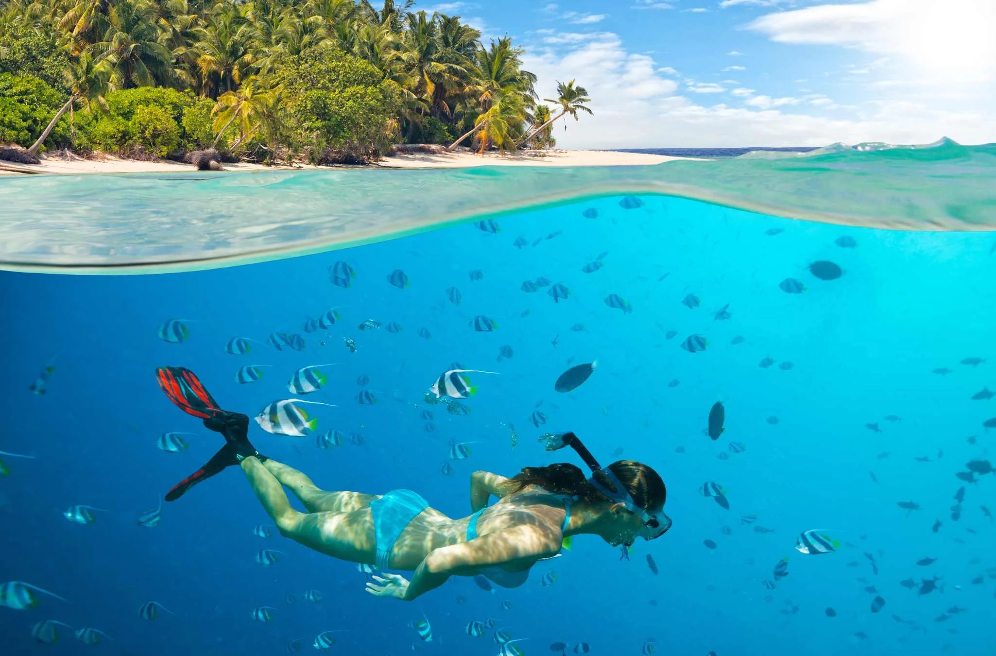 Nakupenda Sandbank Tour photo 5