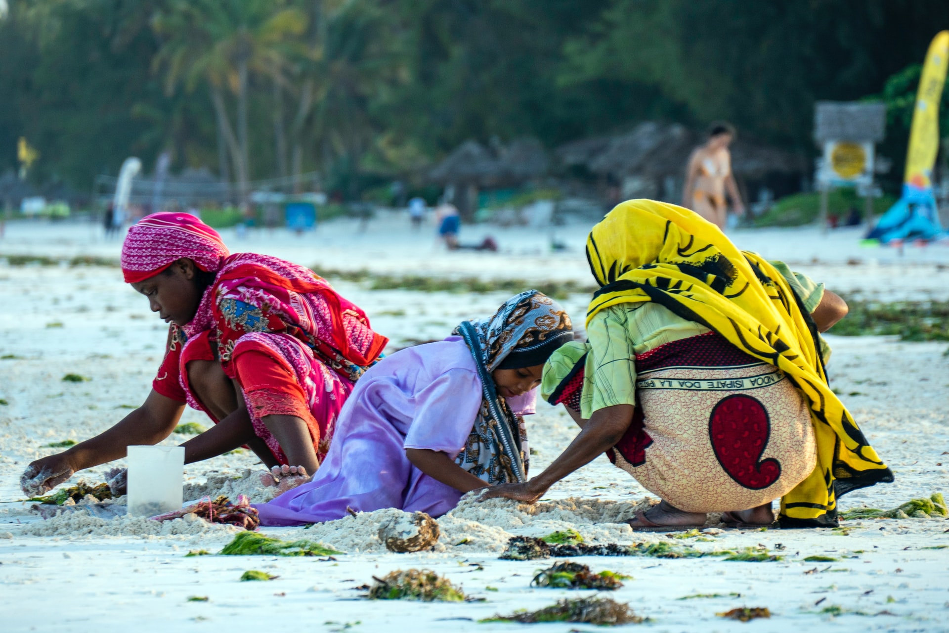 Zanzibar Cultural & Village Tour photo 9