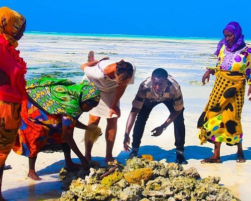 Zanzibar Cultural & Village Tour photo 2