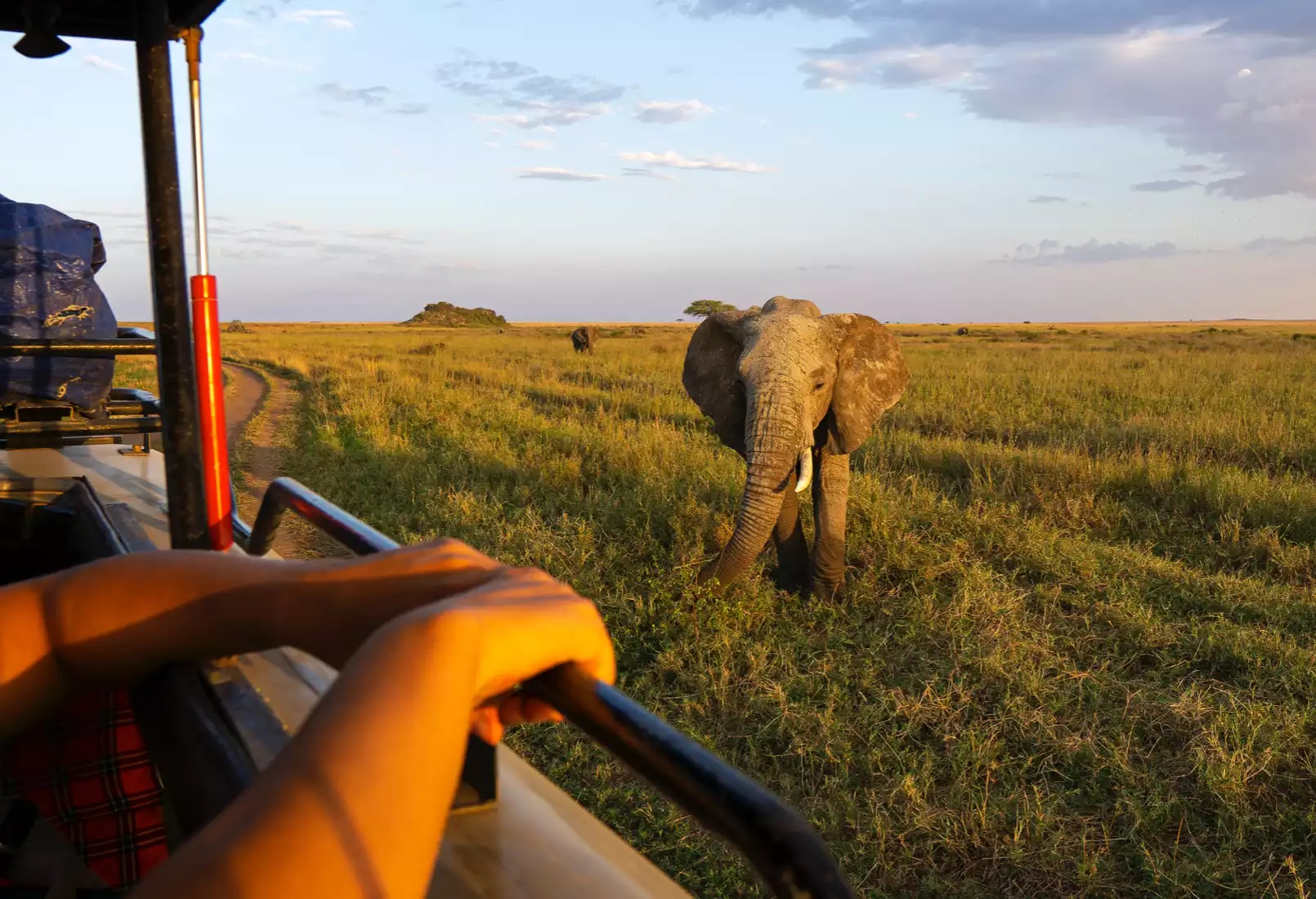 Saadani National Park Safari