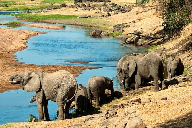 Saadani National Park Safari photo 11