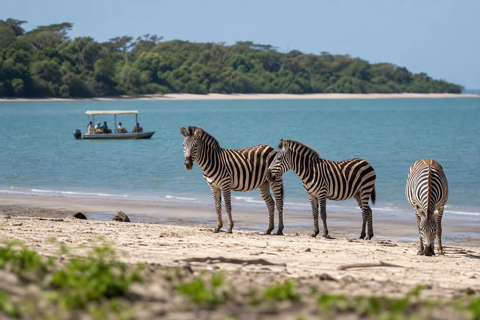 Saadani National Park Safari photo 2