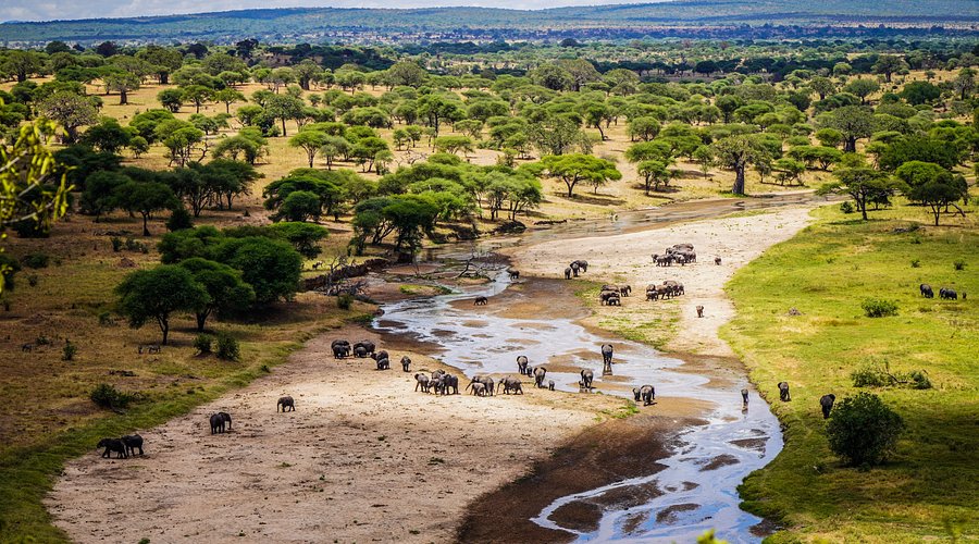 Tarangire National Park Safari photo 7