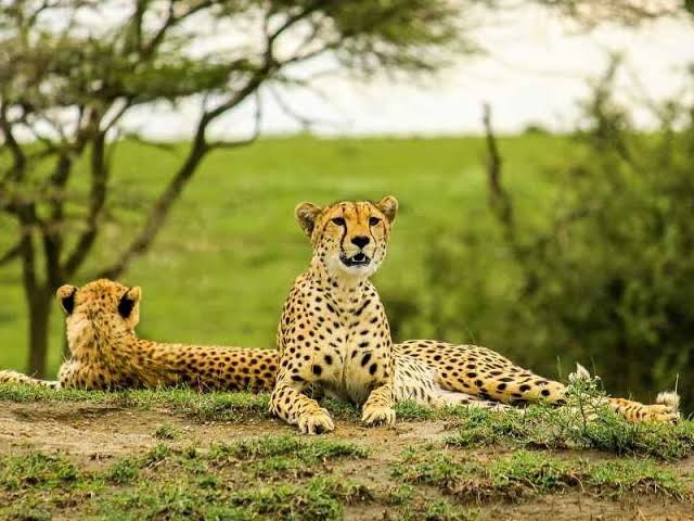Tarangire National Park Safari photo 8