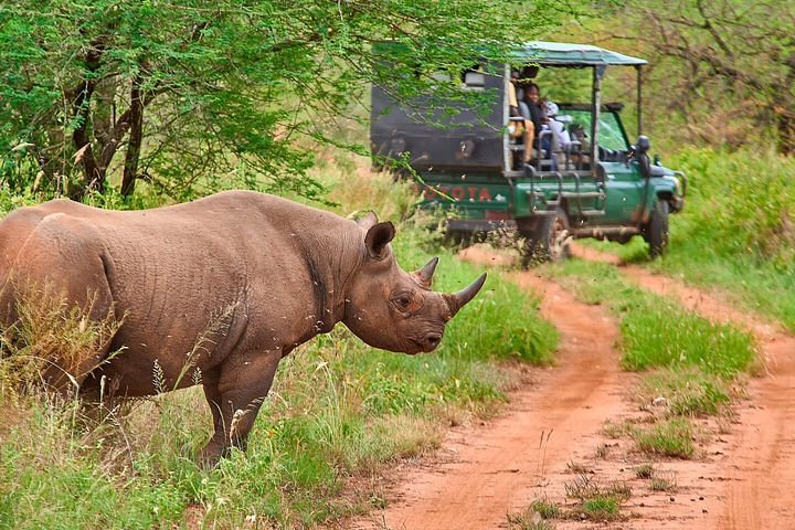 Tarangire National Park Safari photo 2