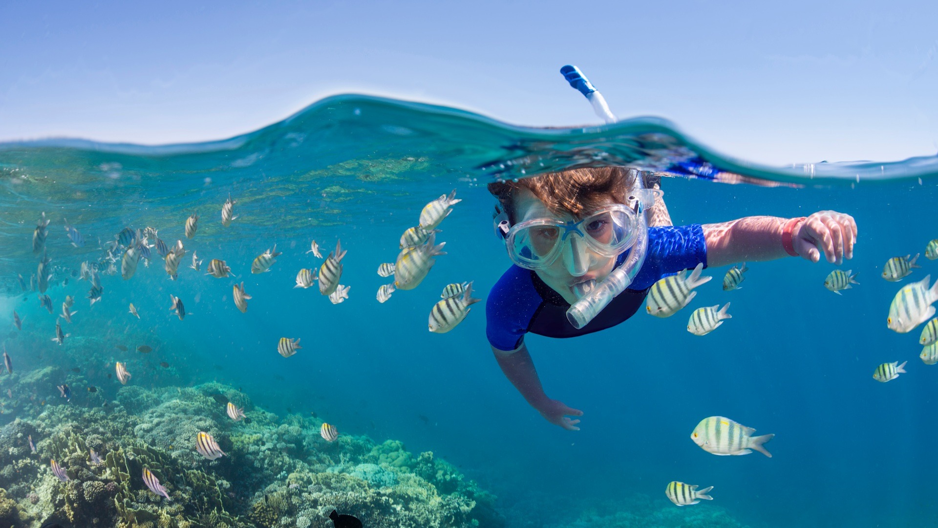 Mnemba Island Snorkeling Tour photo 2