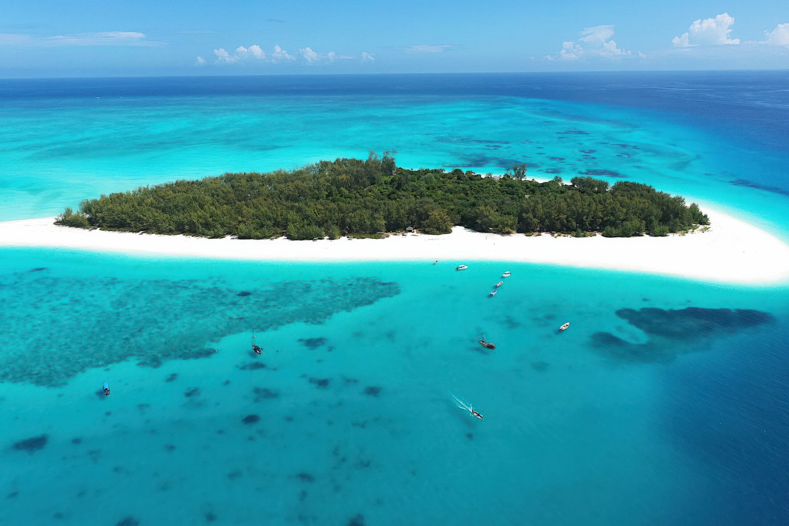 Mnemba Island Snorkeling Tour photo 3