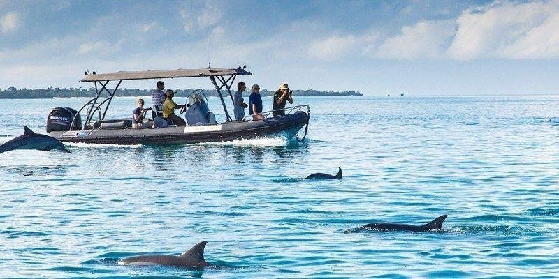 Mnemba Island Snorkeling Tour photo 4