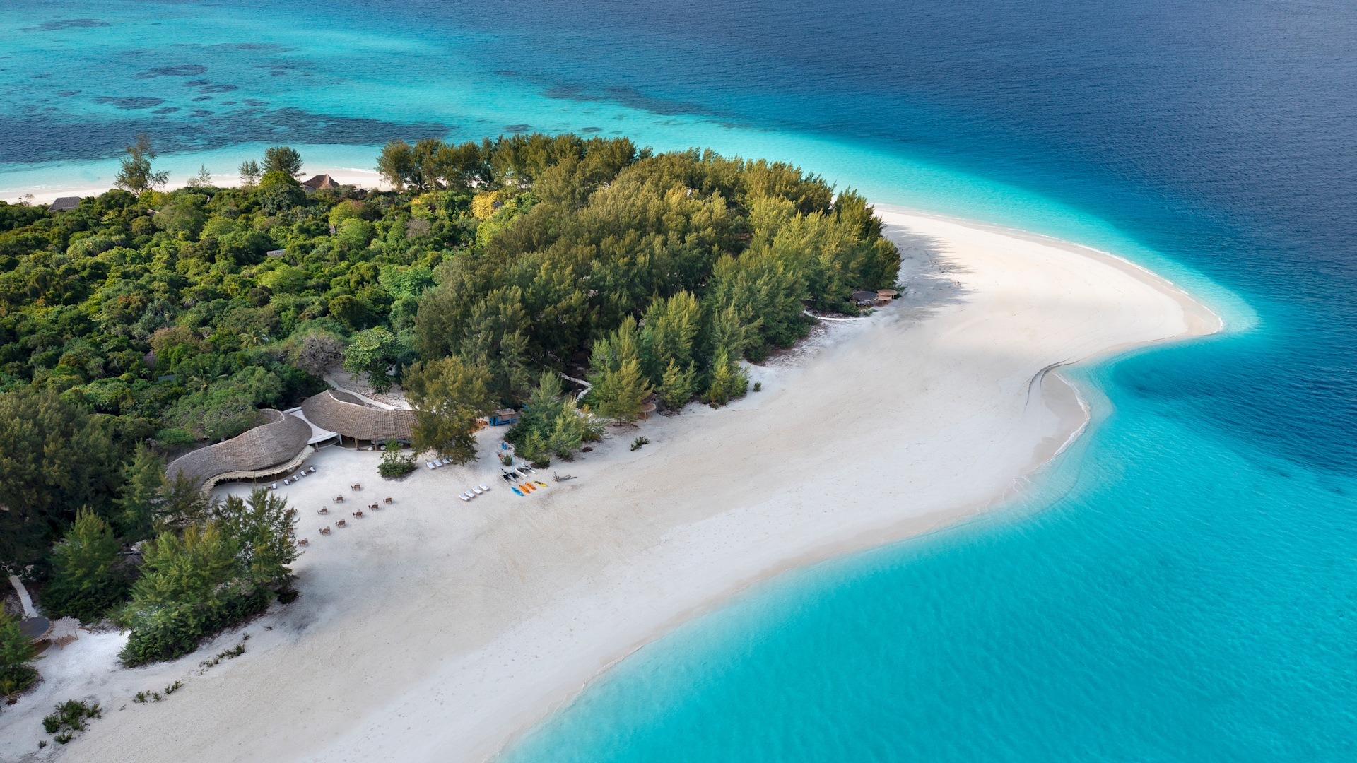 Mnemba Island Snorkeling Tour