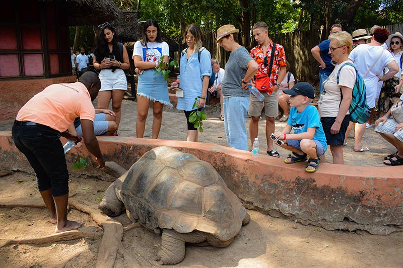 Prison Island + Nakupenda Sandbank Tour